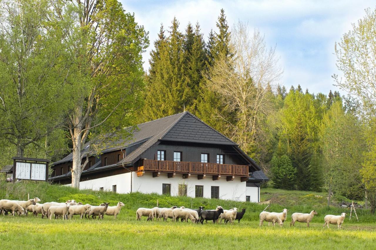Dvur Liskovy Vrch Hotel Strazny Bagian luar foto